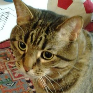 Meet your Posher, Liesl